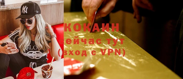 бошки Ельня