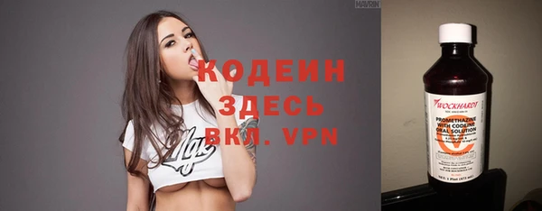 бошки Ельня
