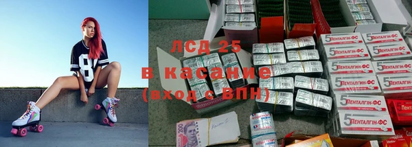 бошки Ельня